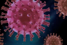 Hepatitis