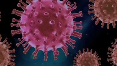 Hepatitis