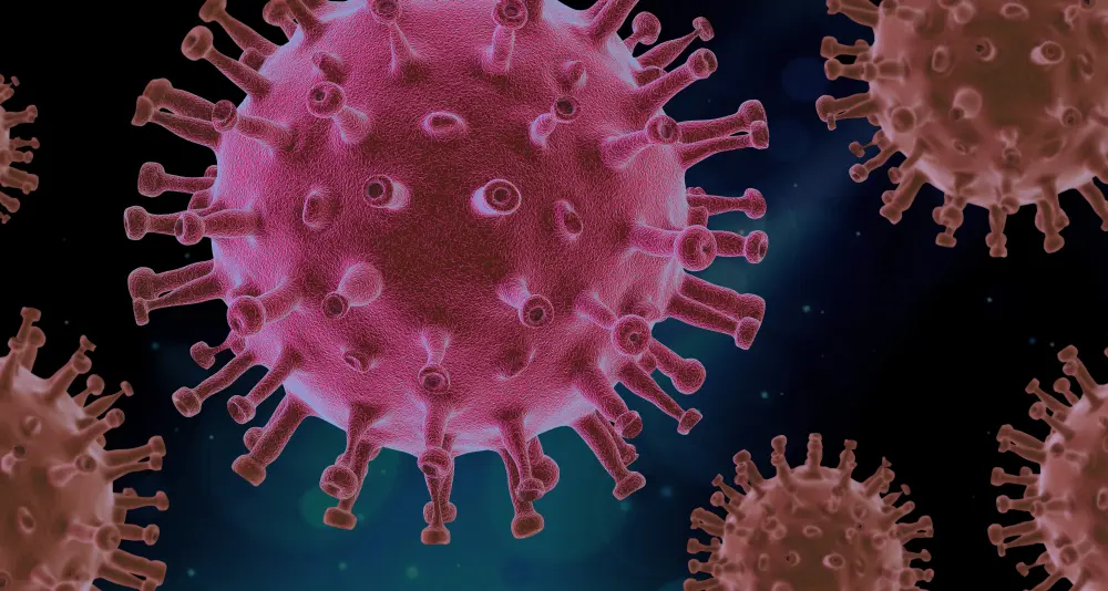 Hepatitis